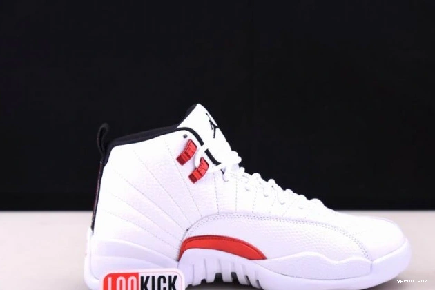 HYPE Jordan Twist Air 12 CT8013-106 0705